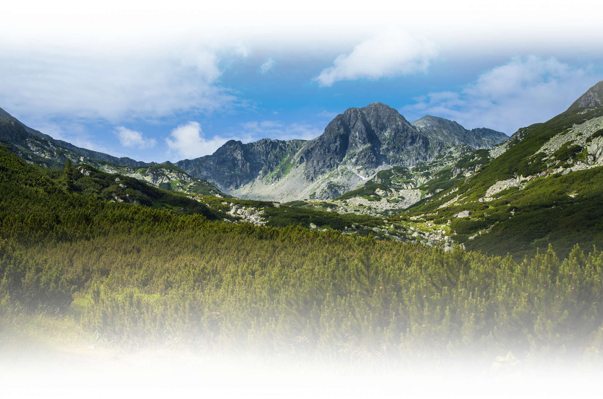 bg-image-2